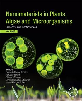 Ahmad / Sharma |  Nanomaterials in Plants, Algae, and Microorganisms | eBook | Sack Fachmedien
