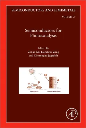Semiconductors for Photocatalysis | Buch | 978-0-12-811727-9 | sack.de