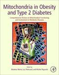 Morio / Penicaud / Rigoulet |  Mitochondria in Obesity and Type 2 Diabetes | Buch |  Sack Fachmedien