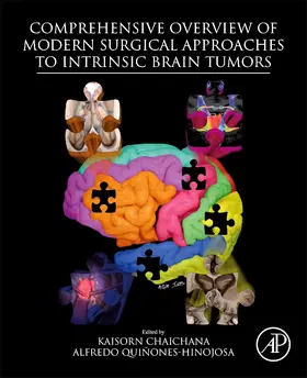 Chaichana / Quinones-Hinojosa | Comprehensive Overview of Modern Surgical Approaches to Intrinsic Brain Tumors | Buch | 978-0-12-811783-5 | sack.de