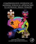 Chaichana / Quinones-Hinojosa |  Comprehensive Overview of Modern Surgical Approaches to Intrinsic Brain Tumors | Buch |  Sack Fachmedien
