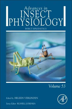 Insect Epigenetics | Buch | 978-0-12-811833-7 | www.sack.de