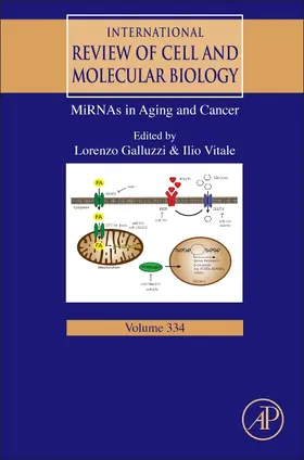  MiRNAs in Aging and Cancer | Buch |  Sack Fachmedien