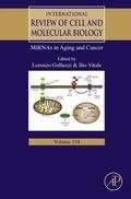 Galluzzi / Vitale |  MiRNAs in Aging and Cancer | eBook | Sack Fachmedien