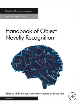Handbook of Object Novelty Recognition | Buch | 978-0-12-812012-5 | www.sack.de
