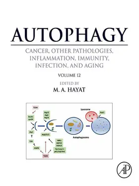 Hayat | Autophagy: Cancer, Other Pathologies, Inflammation, Immunity, Infection, and Aging | E-Book | sack.de