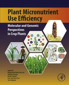 Hossain / Kamiya / Burritt |  Plant Micronutrient Use Efficiency | eBook | Sack Fachmedien