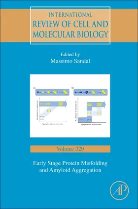 Early Stage Protein Misfolding and Amyloid Aggregation | Buch | 978-0-12-812251-8 | www.sack.de