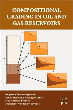 Oliveira Esposito / Rodrigues Alijó / Scilipoti |  Compositional Grading in Oil and Gas Reservoirs | Buch |  Sack Fachmedien