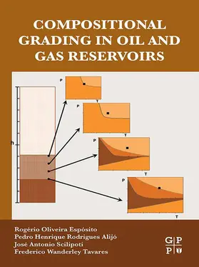 Oliveira Esposito / Rodrigues Alijó / Scilipoti | Compositional Grading in Oil and Gas Reservoirs | E-Book | sack.de