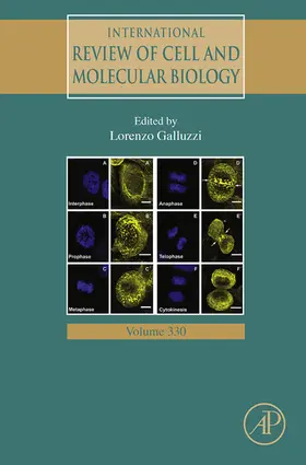 Galluzzi |  International Review of Cell and Molecular Biology | eBook | Sack Fachmedien