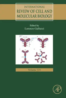 Galluzzi |  International Review of Cell and Molecular Biology | eBook | Sack Fachmedien
