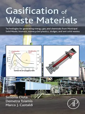 Ciuta / Tsiamis / Castaldi |  Gasification of Waste Materials | eBook | Sack Fachmedien