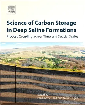 Newell / Ilgen |  Science of Carbon Storage in Deep Saline Formations | Buch |  Sack Fachmedien
