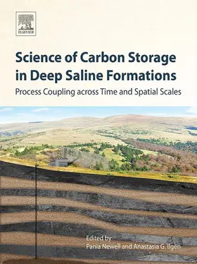 Newell / Ilgen | Science of Carbon Storage in Deep Saline Formations | E-Book | www.sack.de