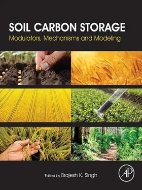 Singh |  Soil Carbon Storage | eBook | Sack Fachmedien