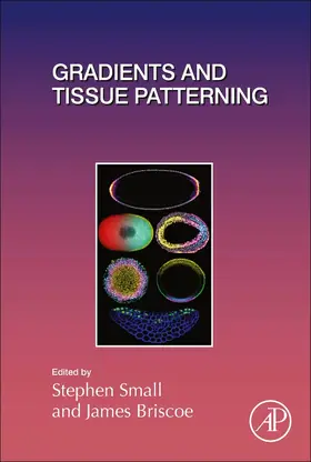 Gradients and Tissue Patterning | Buch | 978-0-12-812790-2 | sack.de