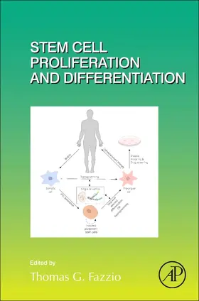 Stem Cell Proliferation and Differentiation | Buch | 978-0-12-812890-9 | sack.de
