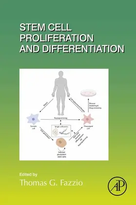  Stem Cell Proliferation and Differentiation | eBook | Sack Fachmedien
