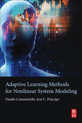 Comminiello / Principe | Adaptive Learning Methods for Nonlinear System Modeling | Buch | 978-0-12-812976-0 | sack.de