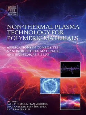 Thomas / Mozetic / Cvelbar | Non-Thermal Plasma Technology for Polymeric Materials | E-Book | www.sack.de