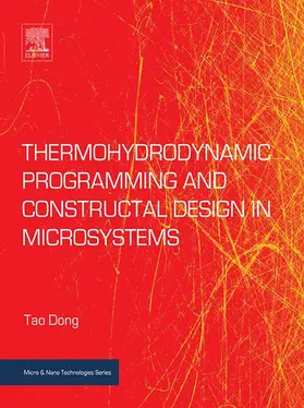 Dong |  Thermohydrodynamic Programming and Constructal Design in Microsystems | eBook | Sack Fachmedien