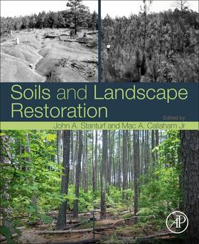 Stanturf / Callaham | Soils and Landscape Restoration | Buch | 978-0-12-813193-0 | sack.de