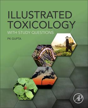 Gupta | Illustrated Toxicology | Buch | 978-0-12-813213-5 | sack.de