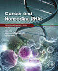 Chakrabarti / Mitra / Tollefsbol |  Cancer and Noncoding RNAs | eBook | Sack Fachmedien
