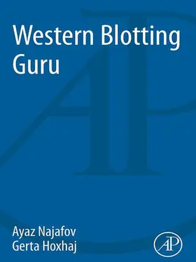 Najafov / Hoxhaj |  Western Blotting Guru | eBook | Sack Fachmedien