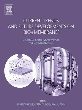 Basile / Curcio / Inamuddin | Current Trends and Future Developments on (Bio-) Membranes | E-Book | www.sack.de