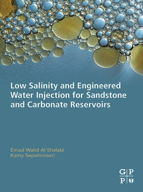 Sepehrnoori | Low Salinity and Engineered Water Injection for Sandstone and Carbonate Reservoirs | E-Book | sack.de