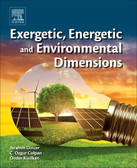Dincer / Colpan / Kizilkan |  Exergetic, Energetic and Environmental Dimensions | Buch |  Sack Fachmedien