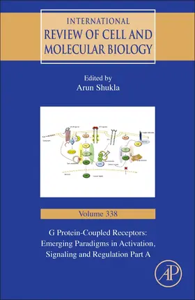 G Protein-Coupled Receptors: Emerging Paradigms in Activation, Signaling and Regulation Part A | Buch | 978-0-12-813772-7 | sack.de