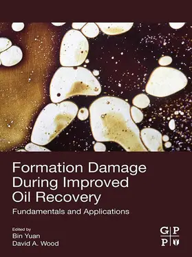 Yuan / Wood | Formation Damage during Improved Oil Recovery | E-Book | www.sack.de