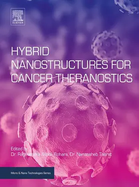 Ashok Bohara / Thorat | Hybrid Nanostructures for Cancer Theranostics | E-Book | sack.de