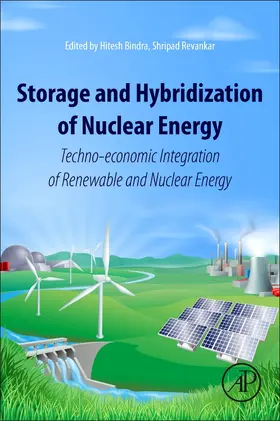 Bindra / Revankar |  Storage and Hybridization of Nuclear Energy | Buch |  Sack Fachmedien