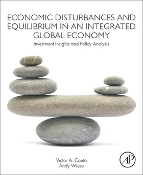  Economic Disturbances and Equilibrium in an Integrated Global Economy | Buch |  Sack Fachmedien