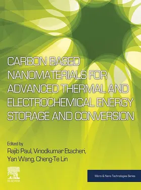 Paul / Etacheri / Wang | Carbon Based Nanomaterials for Advanced Thermal and Electrochemical Energy Storage and Conversion | E-Book | sack.de