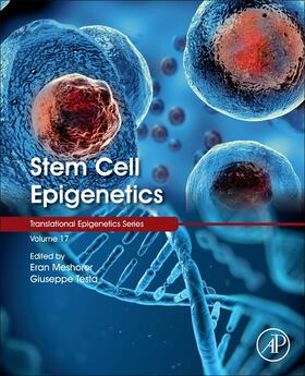 Stem Cell Epigenetics | Buch | 978-0-12-814085-7 | sack.de