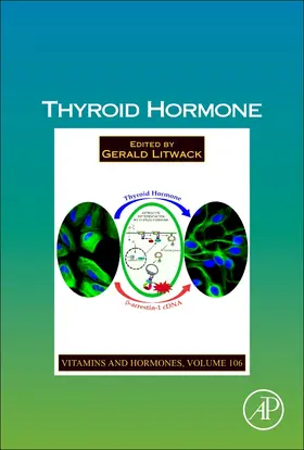 Thyroid Hormone | Buch | 978-0-12-814116-8 | sack.de