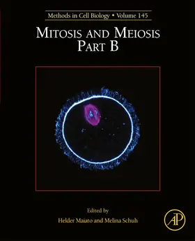 Mitosis and Meiosis Part B | Buch | 978-0-12-814142-7 | sack.de