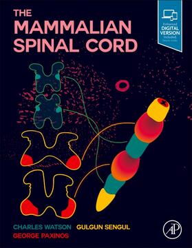 Watson / Sengul / Paxinos |  The Mammalian Spinal Cord | Buch |  Sack Fachmedien