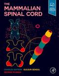 Watson / Sengul / Paxinos |  The Mammalian Spinal Cord | Buch |  Sack Fachmedien