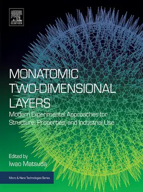 Matsuda | Monatomic Two-Dimensional Layers | E-Book | www.sack.de