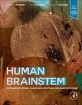 Paxinos / Furlong / Watson |  Human Brainstem | Buch |  Sack Fachmedien