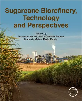 Santos / Rabelo / De Matos |  Sugarcane Biorefinery, Technology and Perspectives | Buch |  Sack Fachmedien