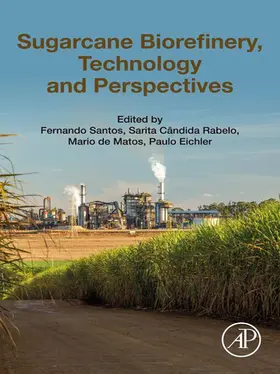 Santos / Rabelo / de Matos | Sugarcane Biorefinery, Technology and Perspectives | E-Book | sack.de