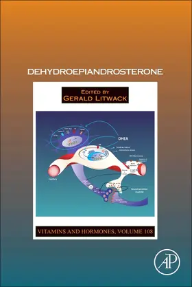 Litwack | Dehydroepiandrosterone | Buch | 978-0-12-814361-2 | sack.de