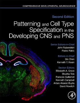 Chen / Kwan |  Patterning and Cell Type Specification in the Developing CNS and Pns | Buch |  Sack Fachmedien